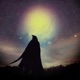 The Wizard s Untapped Potential Vol 1