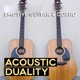 Acoustic Duality Emotive Guitar Dobro