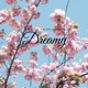 Dreamy Single