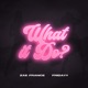 What It Do feat Fridayy Single