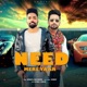 Need Mere Yaar Single