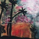 Sea Salt feat damnboy Single