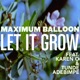 Let It Grow feat Karen O Tunde Adebimpe Single