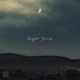 Night Drive Single