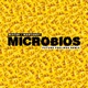 Microbios Future Feelings Remix Single