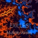 Multiple Verses Single