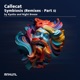 Symbiosis The Remixes Pt 5 Single