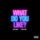 What Do You Like Single