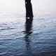 Calm Single