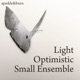 Light Optimistic Small Ensemble