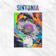 Sintonia Single