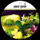 Amuse Gueule 003 Single
