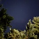 Stars Misaligned Single