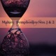 Mahler Symphonies Nos 1 2
