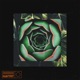 Circle Single