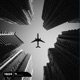 Fly Single