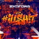 ILLSH T Single