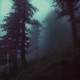 fog over the hills Single