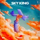 Sky King Single