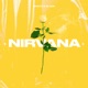 Nirvana Single