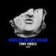Voices In My Head Single