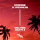 Chill Vibes Only Pt 2 feat Pete Wolter Single