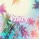 Vibin feat Austin Simmon Single