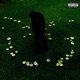 MR WZRD Single