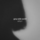 Grey Wide World Single