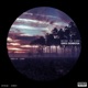 Before the Flood Single