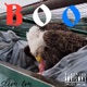 BOO Single