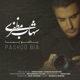 Pashoo Bia Single
