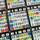 Bingo Single