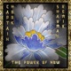 The Power of Now Shayman remix Single