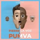 Locos feat Pumva Single