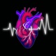 Heartbeat Single