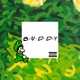 BUDDY Single