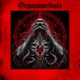 Orgasmorfosis Single