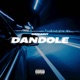 DANDOLE Single