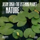 Nature s Voice II Single