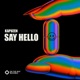 Say Hello Single