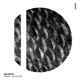 Delusion Single