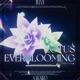 LOTUS EVERBLOOMING feat aakairo GREEN Single