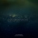 Coordenadas Single