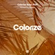 Colorize Ibiza 2020 mixed by Boxer DJ MIX