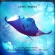 Manta Single