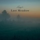 Last Meadow Single