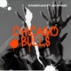 Chicago Bulls feat JEA Nofakes Single