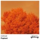 Oneforadi Single