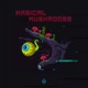 Magical Mushrooms Single
